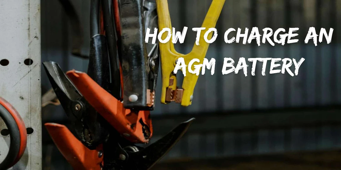 100% Guide on How to Charge AGM Batteries, What' the Difference