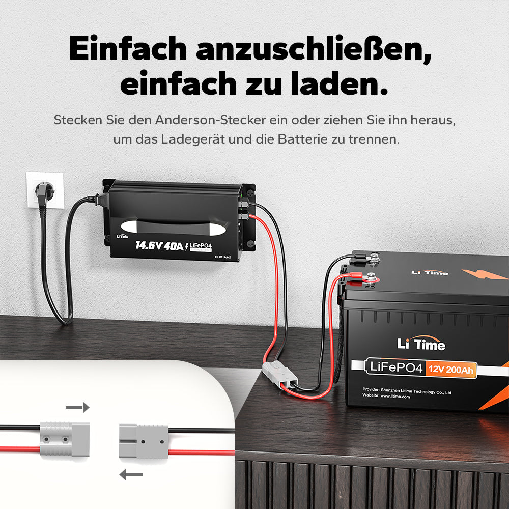 LiTime 12V 40A LiFePO4 Battery Charger with Mounting Bracket