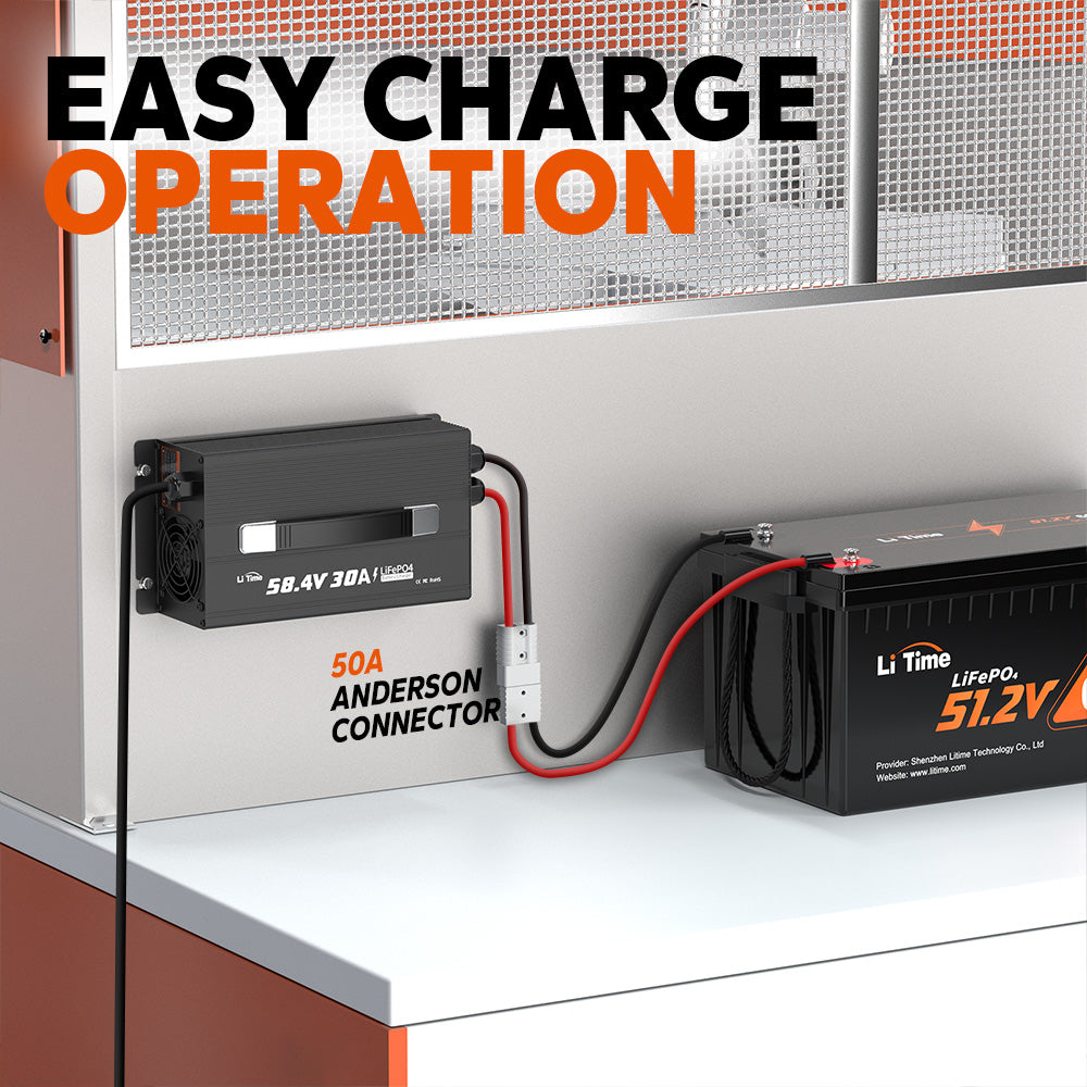 LiTime 51.2V 30A AC-DC LiFePO4 Battery Charger for RV, Marine & Energy Storage