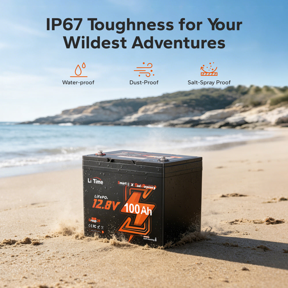LiTime 12V 100Ah Dual-Purpose Bluetooth Self-Heating LiFePO4 Battery for Marine, RV & Engine Starting