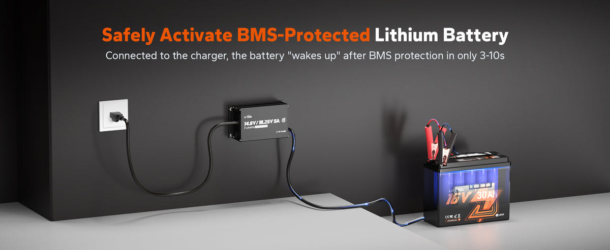 LiTime 12V/16V 5A Adjustable Waterproof AC-DC LiFePO4 Battery Charger for Marine, RV & Outdoor
